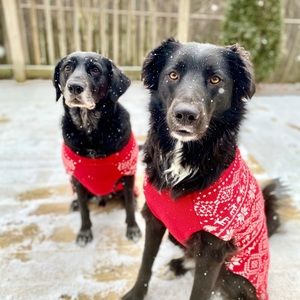 Meet your Posher, Julia